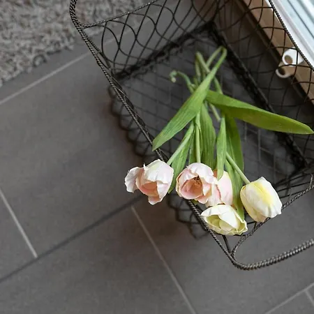 Apartmán Oderstrasse 10- Sommerwind *